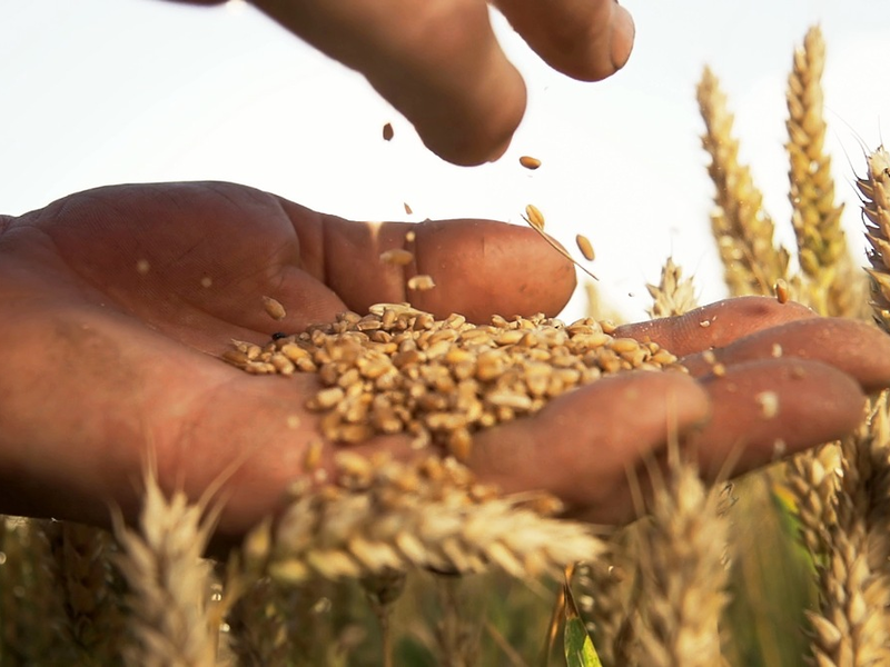 Geheime Weltmächte: ZDFinfo-Dokureihe über globale Player auf wichtigen Märkten - Foto: presseportal.de