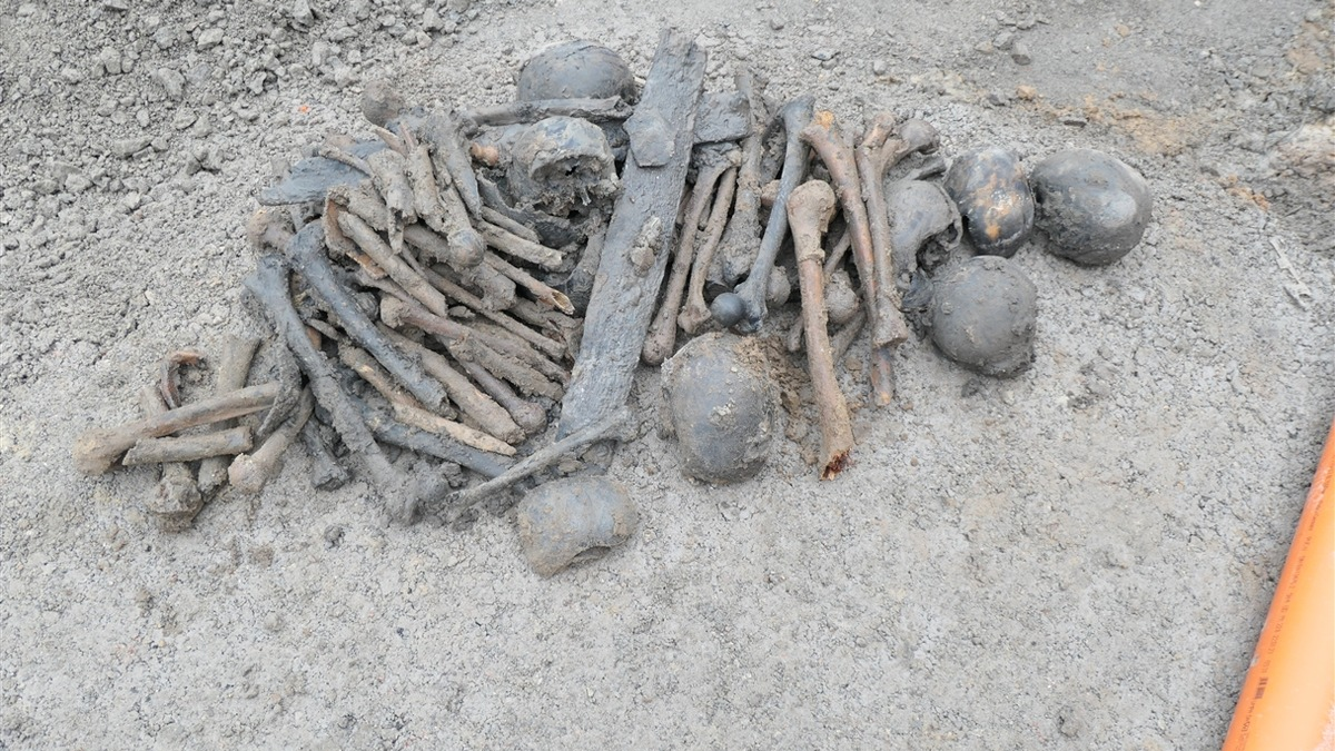 POL-SO: Lippetal-Herzfeld - Knochenfund bei Erdarbeiten - Foto: presseportal.de