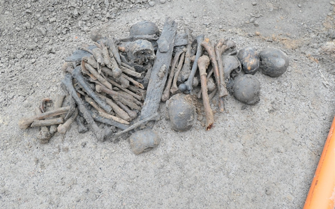 POL-SO: Lippetal-Herzfeld - Knochenfund bei Erdarbeiten - Foto: presseportal.de