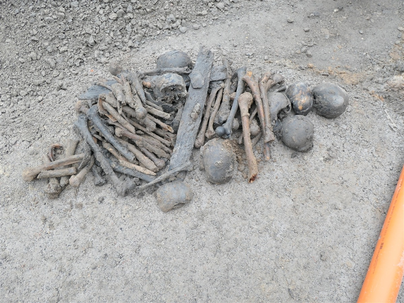 POL-SO: Lippetal-Herzfeld - Knochenfund bei Erdarbeiten - Foto: presseportal.de