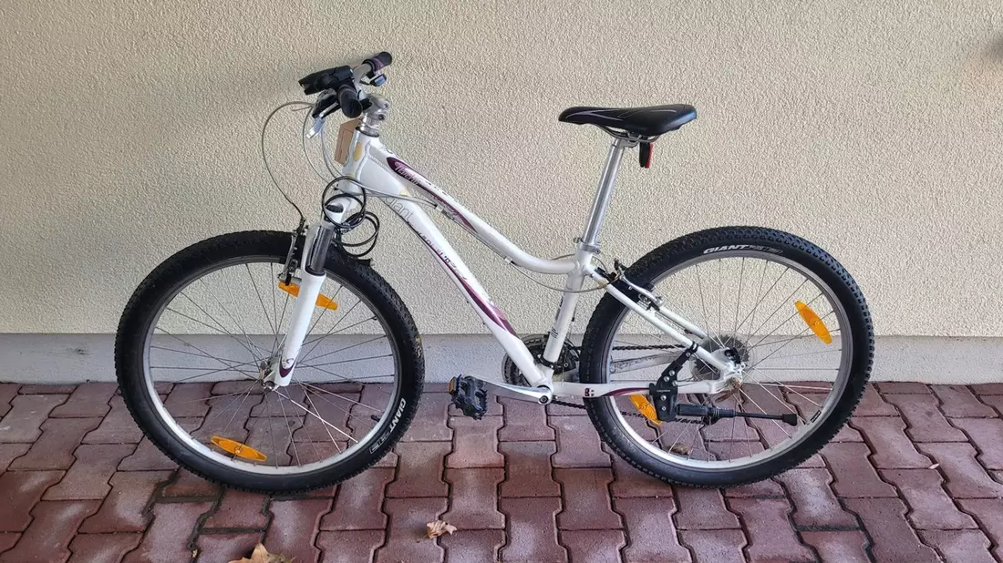POL-WE: Wölfersheim: Wessen Fahrrad ist das? - Bild: presseportal.de