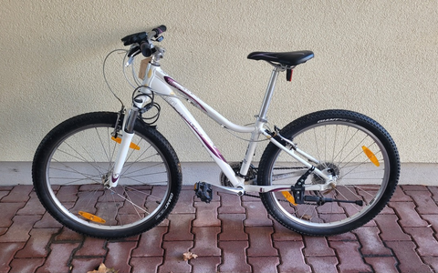 POL-WE: Wölfersheim: Wessen Fahrrad ist das? - Foto: presseportal.de