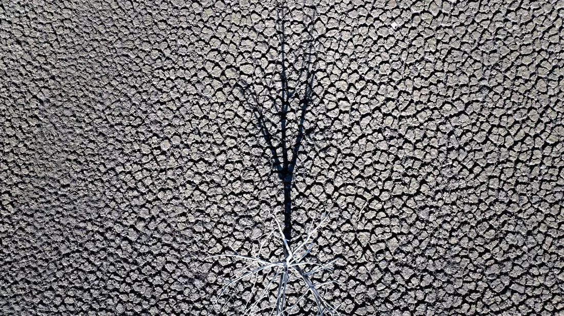 Die globalen Temperaturen steigen weiter an. - Bild: Emilio Morenatti/AP/dpa