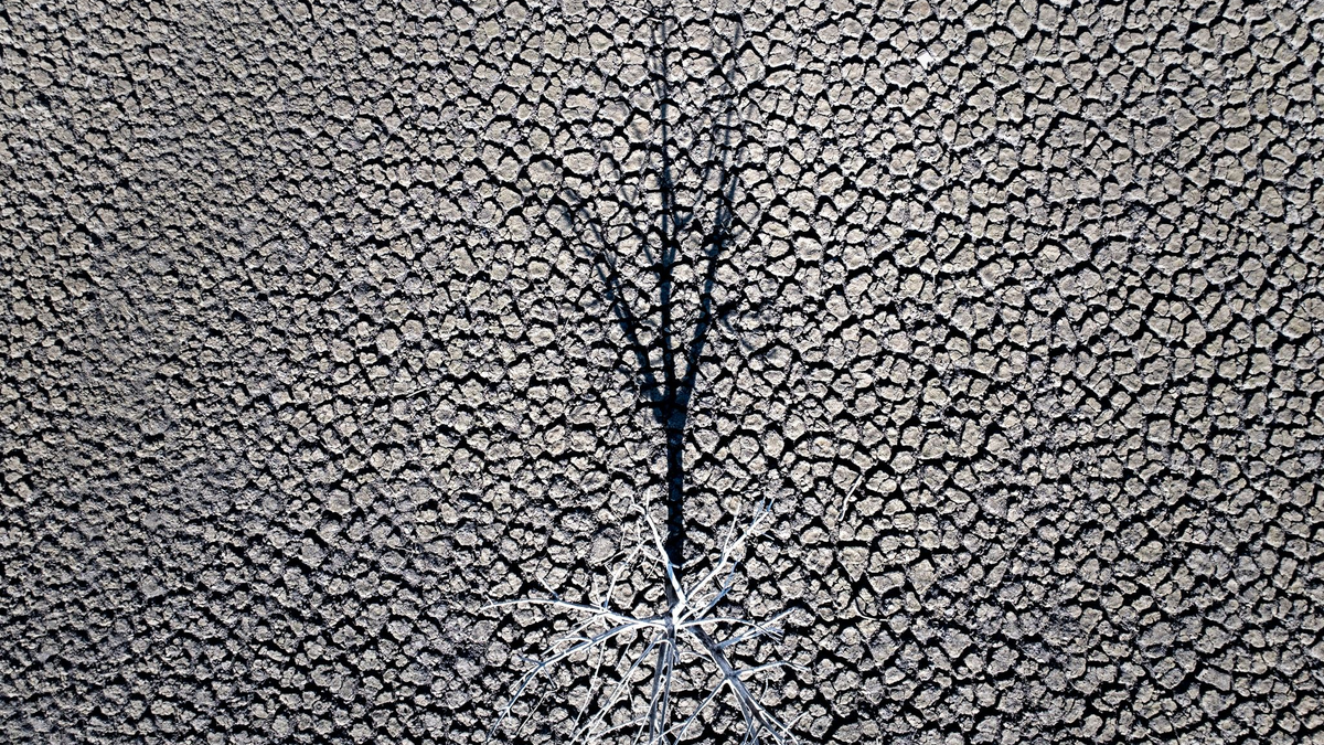 Die globalen Temperaturen steigen weiter an. - Foto: Emilio Morenatti/AP/dpa