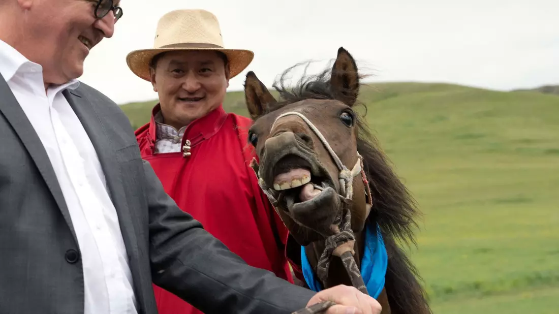 Der damalige Bundesaußenminister Frank-Walter Steinmeier (l) hat bei seiner Reise in die Mongolei im Jahr 2014 ein Pferd namens «Donnernde Hufe» geschenkt bekommen (Archivbild). - Bild: Soeren Stache/dpa