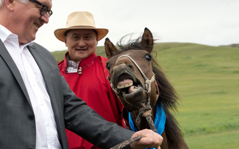 Der damalige Bundesaußenminister Frank-Walter Steinmeier (l) hat bei seiner Reise in die Mongolei im Jahr 2014 ein Pferd namens «Donnernde Hufe» geschenkt bekommen (Archivbild). - Foto: Soeren Stache/dpa