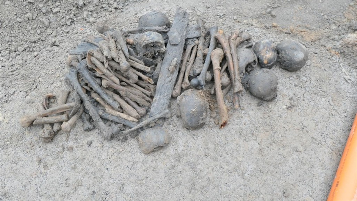 Bei Erdarbeiten nach dem Abriss eines Hauses sind in Lippetal mehrere Schädel und eine Vielzahl von Knochen gefunden worden. - Foto: -/Polizei Soest/dpa