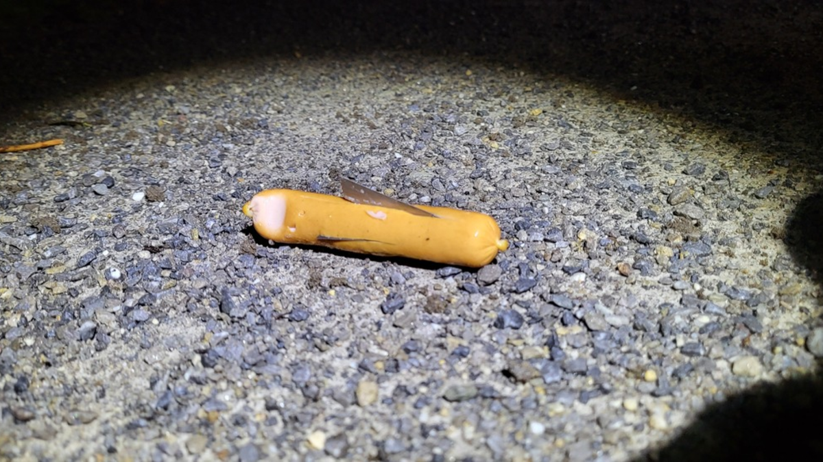 POL-SO: Vermeintlich präparierter Köder aufgefunden - Foto: presseportal.de