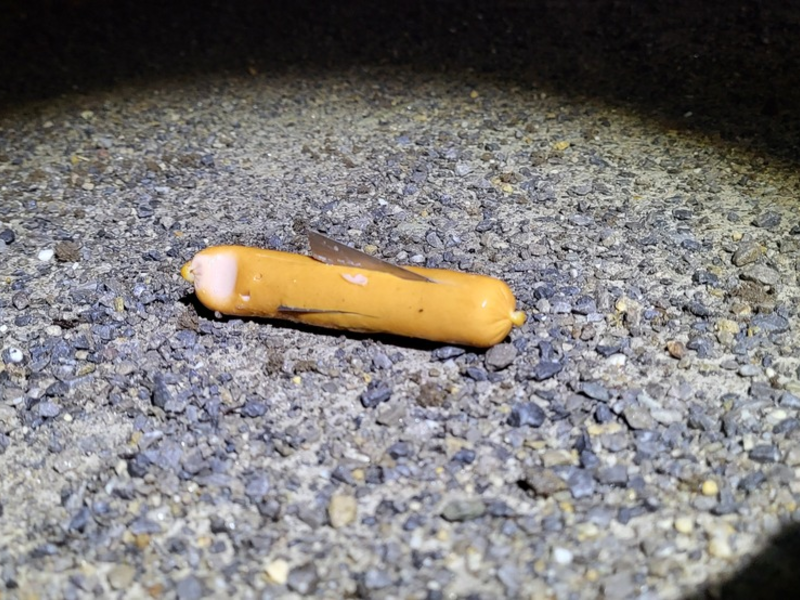 POL-SO: Vermeintlich präparierter Köder aufgefunden - Foto: presseportal.de