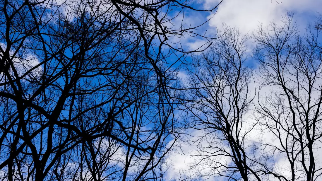 Für Samstag wird frühlingshaftes Wetter angekündigt. - Bild: Rolf Vennenbernd/dpa