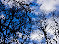 Für Samstag wird frühlingshaftes Wetter angekündigt. - Foto: Rolf Vennenbernd/dpa