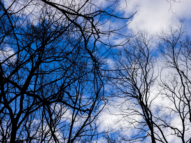 Für Samstag wird frühlingshaftes Wetter angekündigt. - Foto: Rolf Vennenbernd/dpa