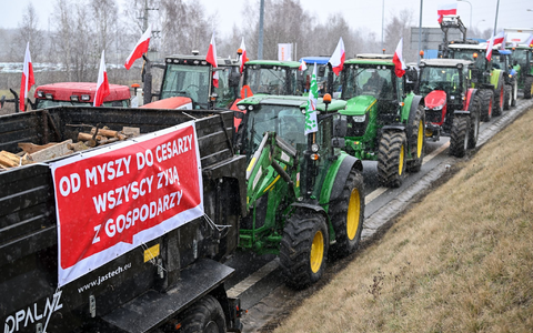 Polnische Landwirte haben landesweit gegen den Europäischen Green Deal und den Zustrom von Waren aus der Ukraine protestiert. - Foto: Przemyslaw Piatkowski/PAP/dpa