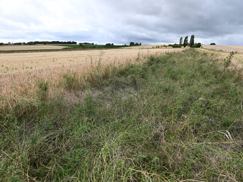 Die EU-Kommission bekommt keine Mehrheit, um Bauern zu entlasten. - Foto: Axel Seidemann/dpa