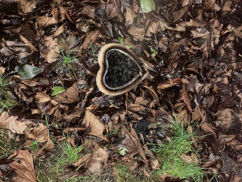 FW-ROW: Aschenbecher löst Brand in einer Wohnung aus - Foto: presseportal.de
