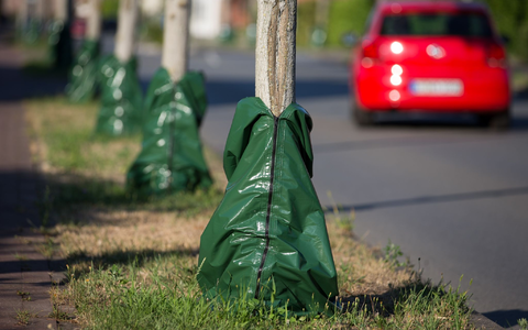 Hitze und Trockenheit im Sommer setzen den Bäumen zu. Damit sie die heißen Monate überstehen, gibt es Bewässerungssäcke, die langsam Wasser an den Boden abgeben. - Foto: Friso Gentsch/dpa