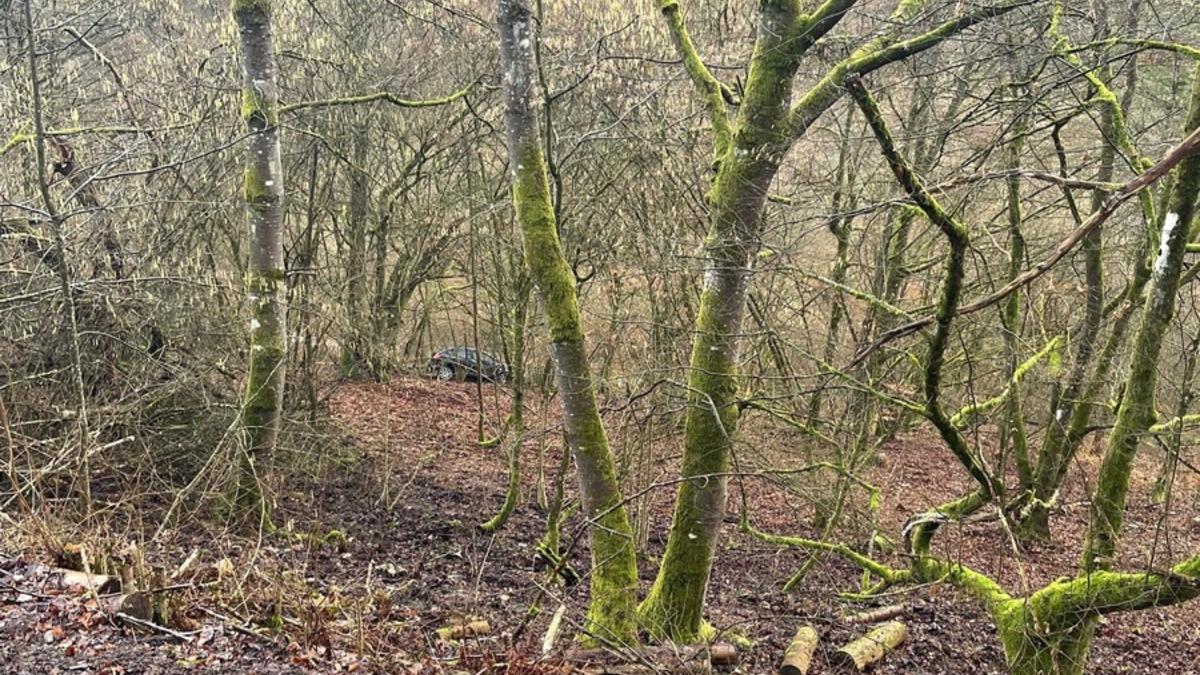 POL-PDTR: Glück im Unglück, PKW stürzt Abhang bei Fell hinab - Foto: presseportal.de