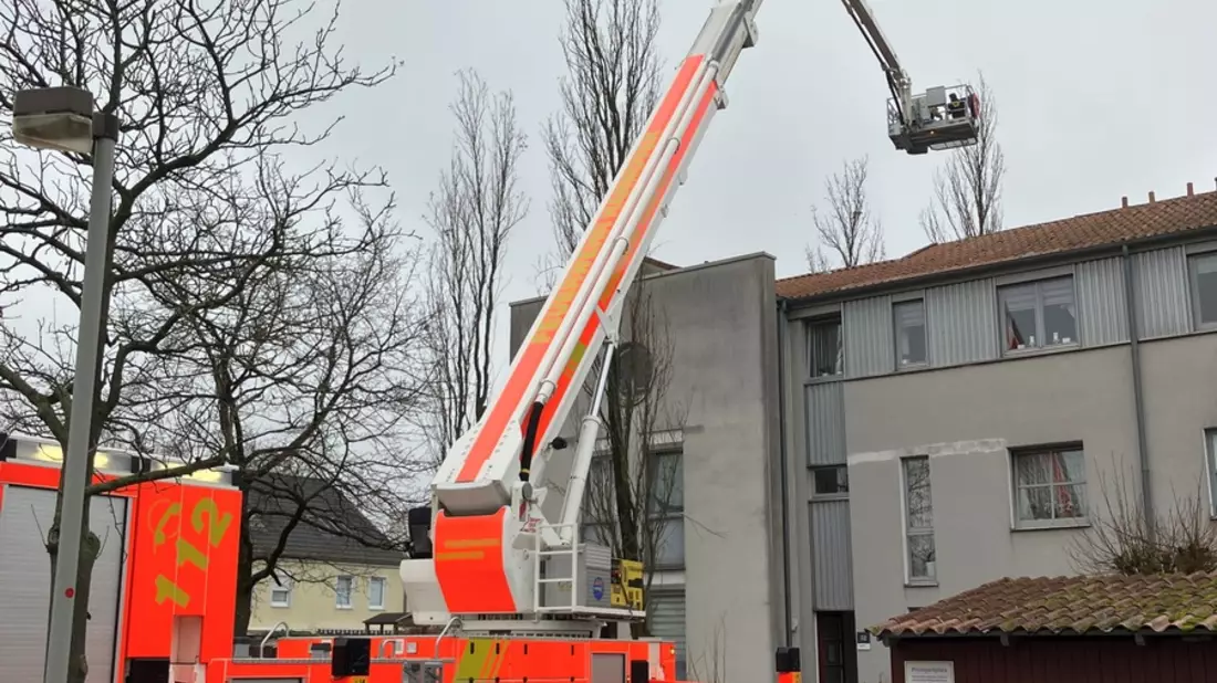 FW Hannover: Katze mit Teleskopmastbühne aus Baum gerettet - Bild: presseportal.de
