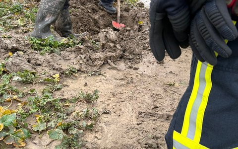 FW Horn-Bad Meinberg: Dackel Dasty steckt in Betonrohr - erfolgreiche Befreiung einen Tag vor seinem Geburtstag - Foto: presseportal.de