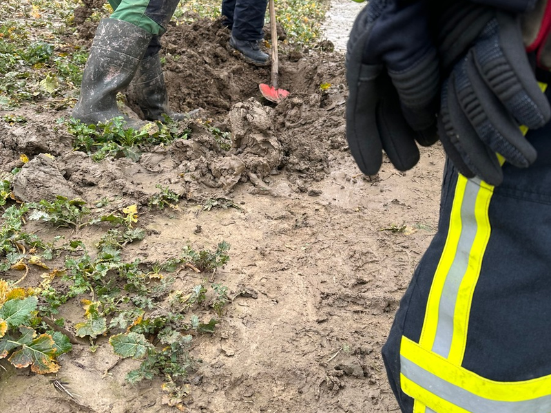 FW Horn-Bad Meinberg: Dackel Dasty steckt in Betonrohr - erfolgreiche Befreiung einen Tag vor seinem Geburtstag - Foto: presseportal.de