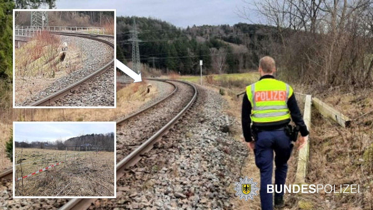 Bundespolizeidirektion München: Tierischer Einsatz am 