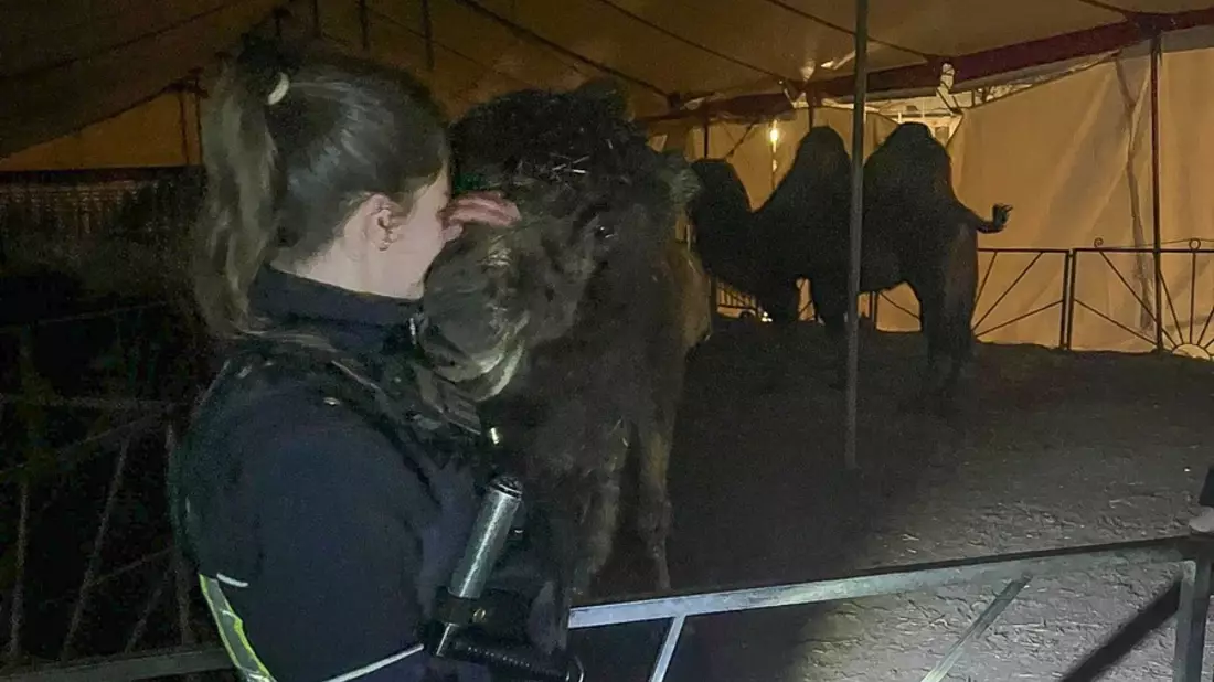 POL-MK: Haariger Einsatz in der Nachtschicht - Bild: presseportal.de
