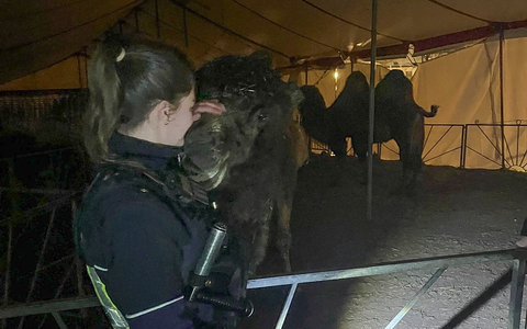 POL-MK: Haariger Einsatz in der Nachtschicht - Foto: presseportal.de