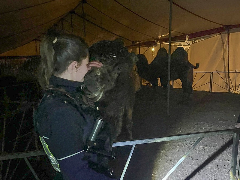 POL-MK: Haariger Einsatz in der Nachtschicht - Foto: presseportal.de
