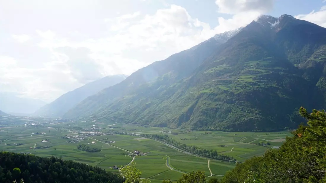 Das untere Vinschgau ist geprägt von Apfelplantagen. - Bild: Carsten Brühl, Rptu/Alpha Galileo/dpa
