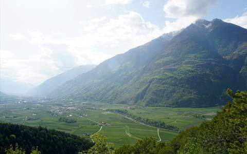 Das untere Vinschgau ist geprägt von Apfelplantagen. - Foto: Carsten Brühl, Rptu/Alpha Galileo/dpa