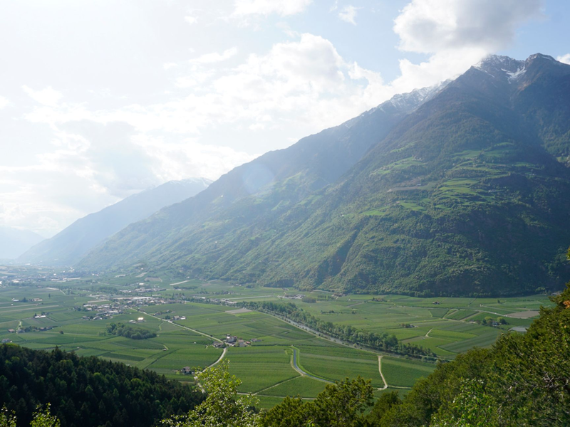 Das untere Vinschgau ist geprägt von Apfelplantagen. - Foto: Carsten Brühl, Rptu/Alpha Galileo/dpa