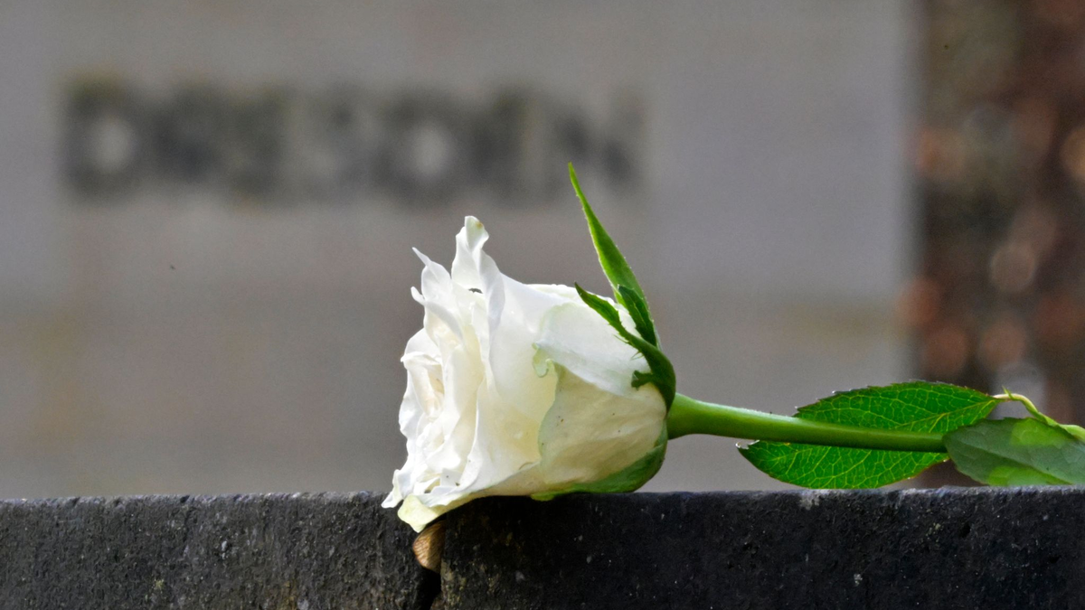 Eine weiße Rose als Symbol der Erinnerung auf dem Heidefriedhof. - Foto: Matthias Rietschel/dpa