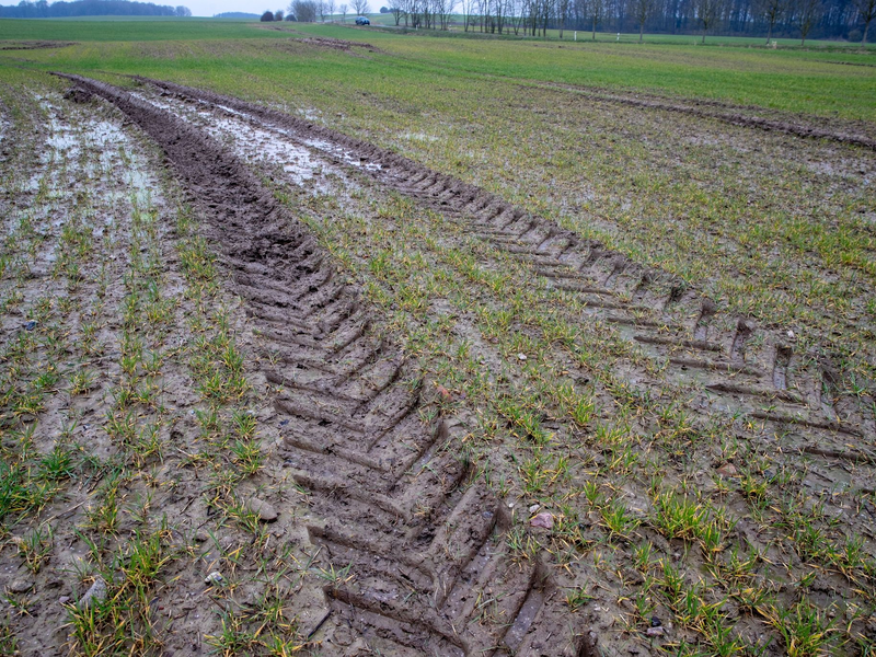 Weniger Brachflächen: Die EU-Kommission will eine Umweltauflage für europäische Bauern lockern. - Foto: Jens Büttner/dpa-Zentralbild/dpa