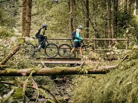 Auf der Trans Bayerwald durch den Bayerischen Wald / Fordernd, wild, aussichtsreich, grün - Foto: presseportal.de