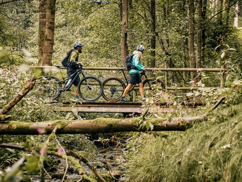 Auf der Trans Bayerwald durch den Bayerischen Wald / Fordernd, wild, aussichtsreich, grün - Foto: presseportal.de