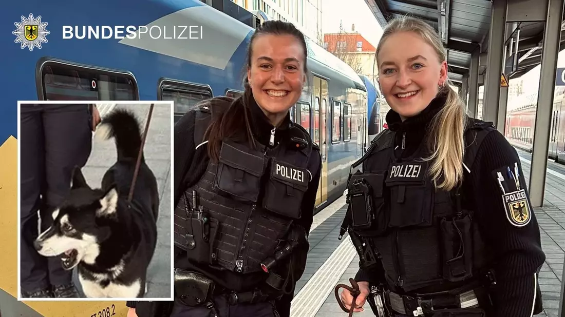 Bundespolizeidirektion München: Einsatz wegen eines Fundhundes / Zusammenführung geglückt - Bild: presseportal.de