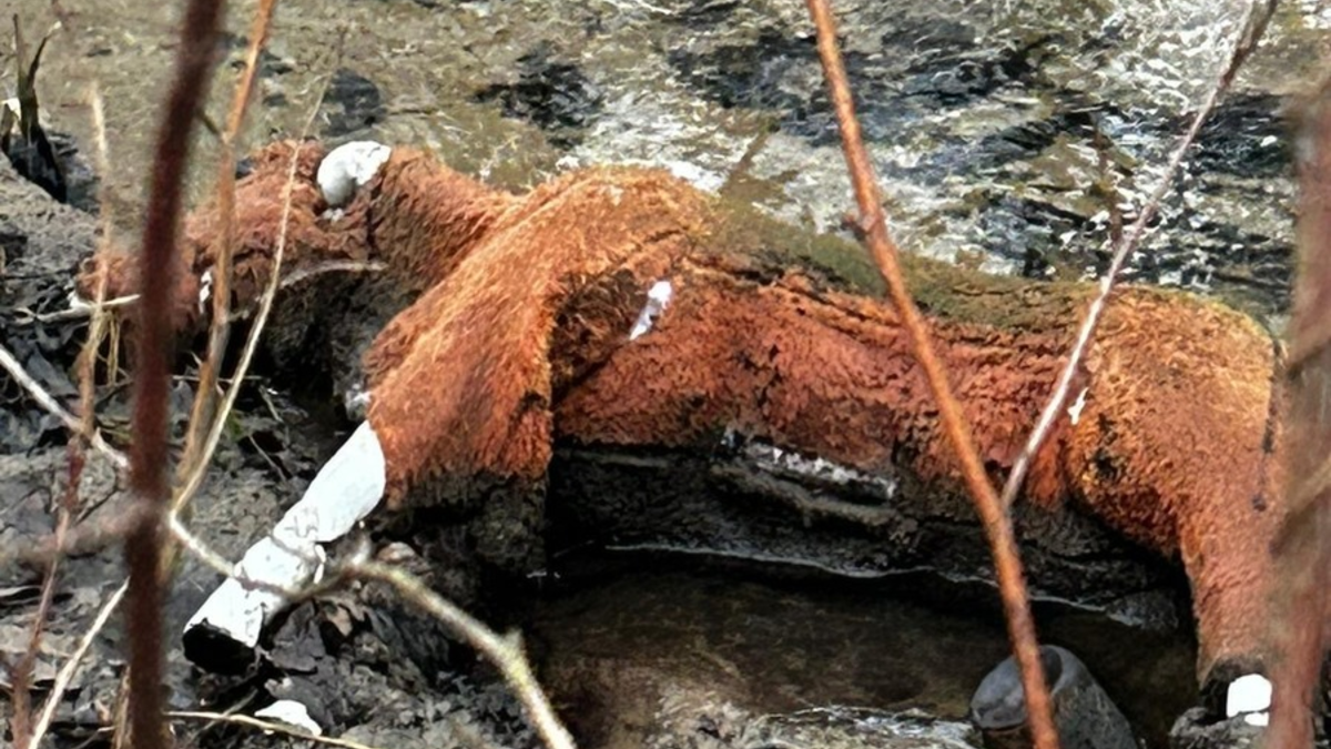 POL-GE: Falsches Pferd sorgt für Polizeieinsatz - Foto: presseportal.de