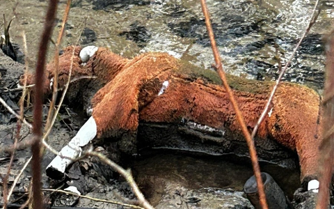 POL-GE: Falsches Pferd sorgt für Polizeieinsatz - Foto: presseportal.de