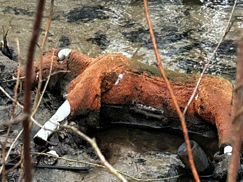 POL-GE: Falsches Pferd sorgt für Polizeieinsatz - Foto: presseportal.de