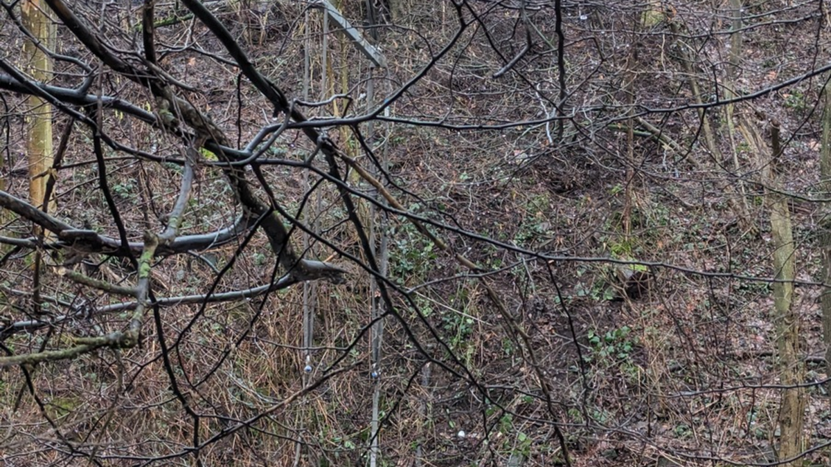 FW-EN: PKW landet in Ennepe - Foto: presseportal.de