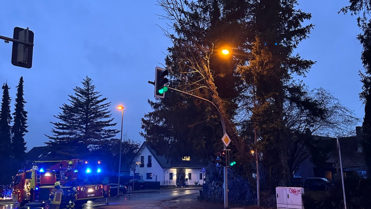 FW-DT: Baum auf Ampelmast - Foto: presseportal.de