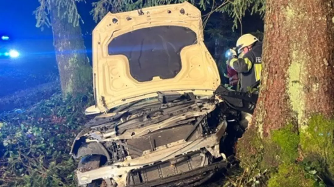 POL-STD: 23-jähriger Taxifahrer bei Unfall im Rüstjer Forst schwer verletzt, Einbrecher in Neuenkirchener Lagerhalle entwenden Fenster, Polizei und Zoll kontrollieren am Buxtehuder Bahnhof auf Drogen - Bild: presseportal.de