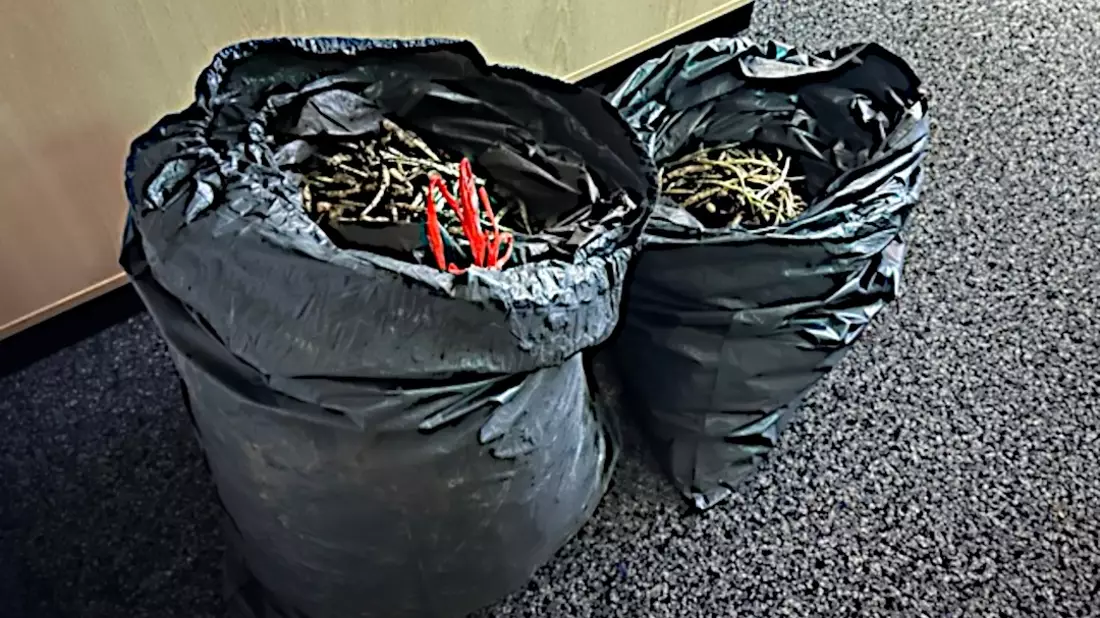 POL-HM: Mann hatte bei Kontrolle 40 Kilogramm Bärlauch im Kofferraum seines Fahrzeuges - Bild: presseportal.de
