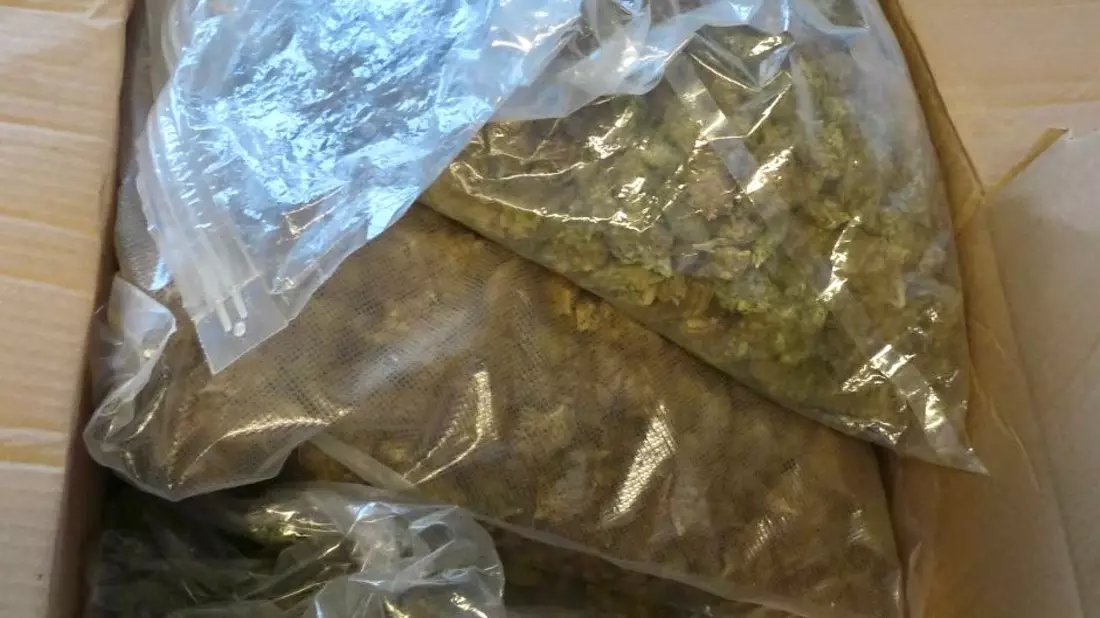 ZOLL-H: Durchsuchungsmaßnahmen in Bremen: Zollfahndungsamt Hannover stellt 5 Kilogramm Marihuana und 300 Gramm Haschisch sicher. Reste einer größeren Marihuanaplantage entdeckt. - Bild: presseportal.de