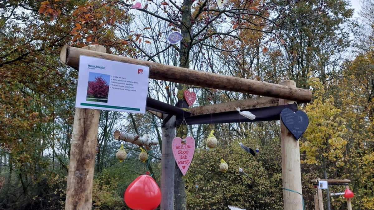 POL-BS: Bäume der Erinnerung geplündert - Zeugen gesucht - Foto: presseportal.de