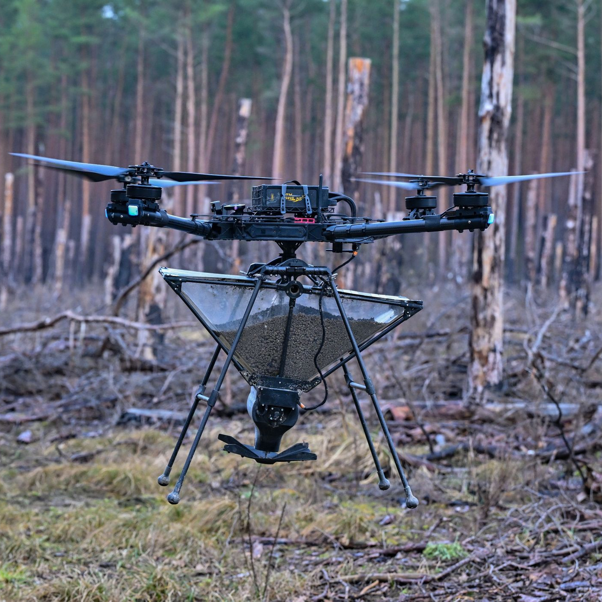 Eine Drohne trägt einen Behälter mit Saatgut, das als Pellets präpariert worden ist. - Foto: Patrick Pleul/dpa