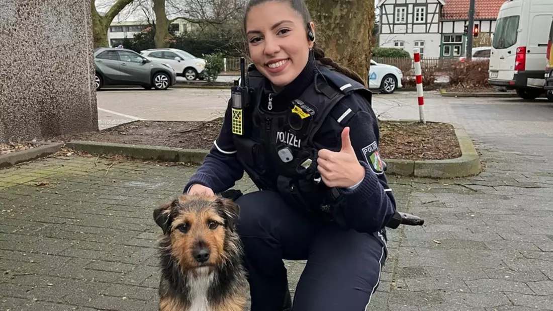 POL-GT: Terrier Charlie aus Rietberg wurde in Gütersloh von einem aufmerksamen Hinweisgeber erkannt - Bild: presseportal.de