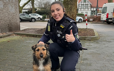 POL-GT: Terrier Charlie aus Rietberg wurde in Gütersloh von einem aufmerksamen Hinweisgeber erkannt - Foto: presseportal.de