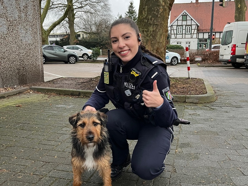 POL-GT: Terrier Charlie aus Rietberg wurde in Gütersloh von einem aufmerksamen Hinweisgeber erkannt - Foto: presseportal.de