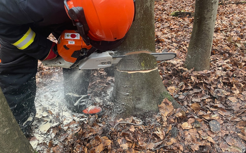 FW Xanten: Ausbildung für Arbeiten mit der Motorkettensäge - Foto: presseportal.de